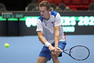 Oslabení nevadí. Češi jdou na Švédy jako velký favorit - Sport.cz